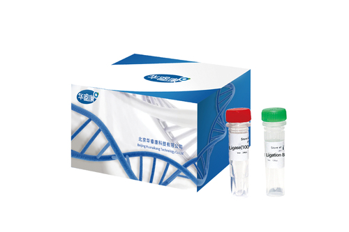 T4 DNA Ligase（Rapid）