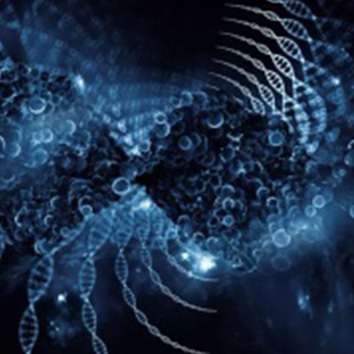 lncRNA 测序