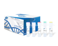 Rapid DNA Library Prep Kit V2