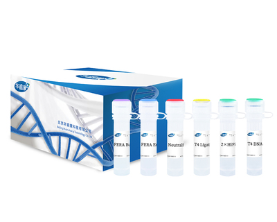 Fragmentation DNA Library Prep Kit V3
