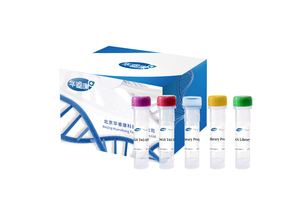 NGS Tn5 DNA Library Prep Kit