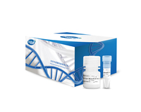 HRK Super Blood PCR Kit
