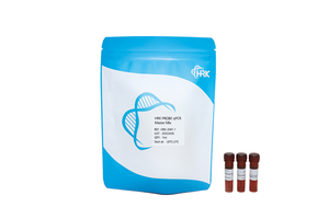 HRK PROBE qPCR Master Mix