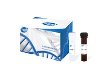 HRK SYBR Green qPCR Master Mix