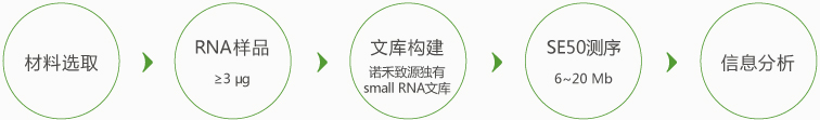 small RNA.jpg