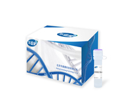 HRK Eco Universal Blocking Oligo (for Illumina)——Illumina平台TruSeq文库通用封阻序列