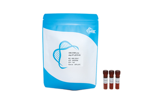 HRK SYBR one step RT qPCR Kit