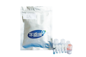 石蜡包埋组织DNA提取试剂盒（磁珠法）