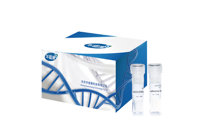 2×H-TECH SYBR qPCR Mixture