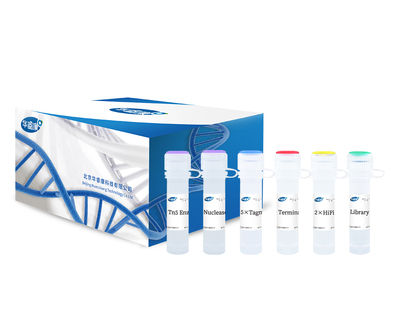 NGS Tn5 DNA Library Prep Kit
