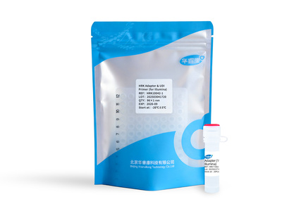 HRK Adapter & UDI Primer (for Illumina)