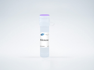Klenow Fragment