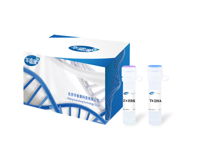 T4 DNA Ligase(Rapid）