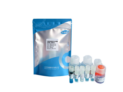 石蜡包埋组织DNA提取试剂盒（磁珠法）