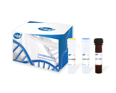 HRK HS SYBR Green one step RT qPCR Kit