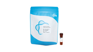 HRK HS Universal SYBR Green qPCR Kit