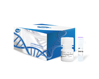 HRK Hyb Human Block (with cot-1)