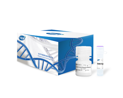 HRK Hyb Human Block (with cot-1)