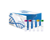 Rapid DNA Library Prep Kit V3