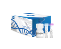 HRK Mouse Genotyping Kit