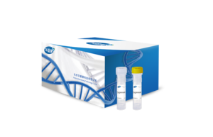 HRK Express Extract DNA Kit
