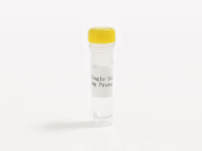 HRK Single-Stranded DNA Binding Protein