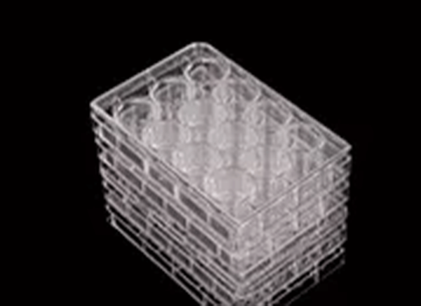 Cell Culture Plates