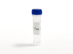 HRK Taq Ⅰ DNA Polymerase