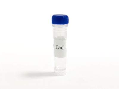 HRK Taq Ⅰ DNA Polymerase