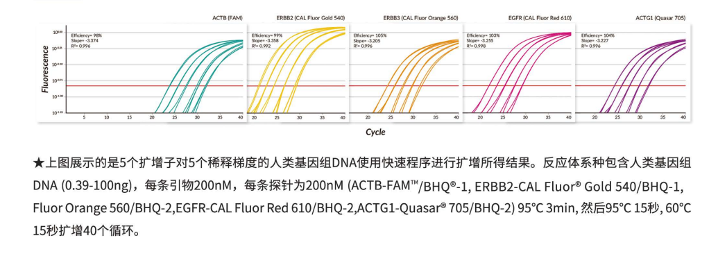 微信图片_20240823155950.png