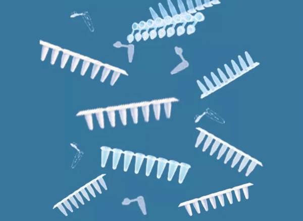 华睿康 PCR 八排管系列