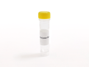 T4 Polynucleotide Kinase