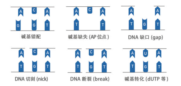 屏幕截图 2023-12-01 160729.png