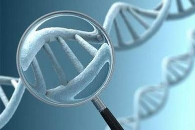 dna methylation test